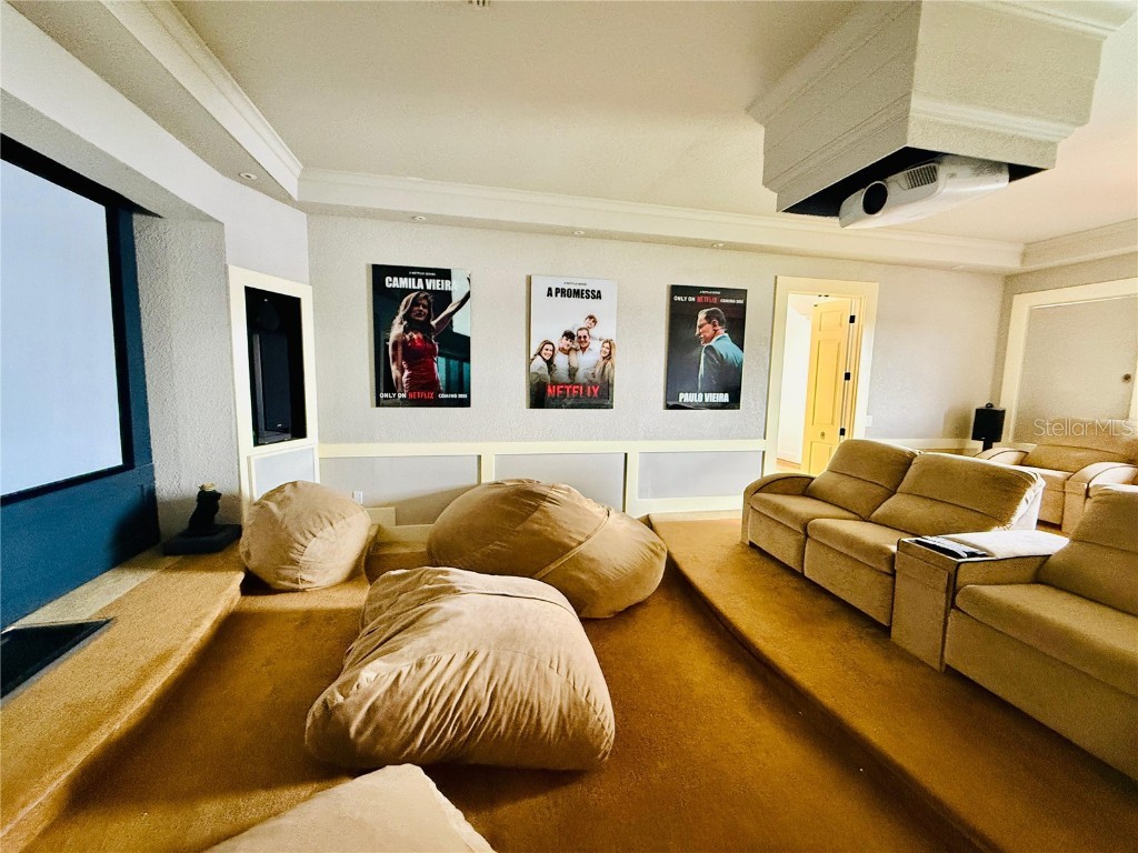 9233 Southern Breeze Drive Orlando FL 32836 O6326422 image56