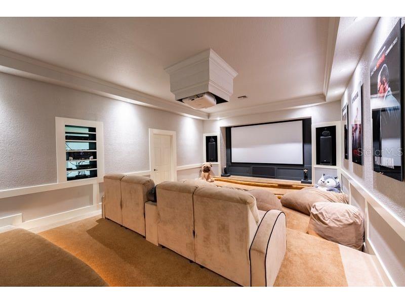 9233 Southern Breeze Drive Orlando FL 32836 O6326422 image57