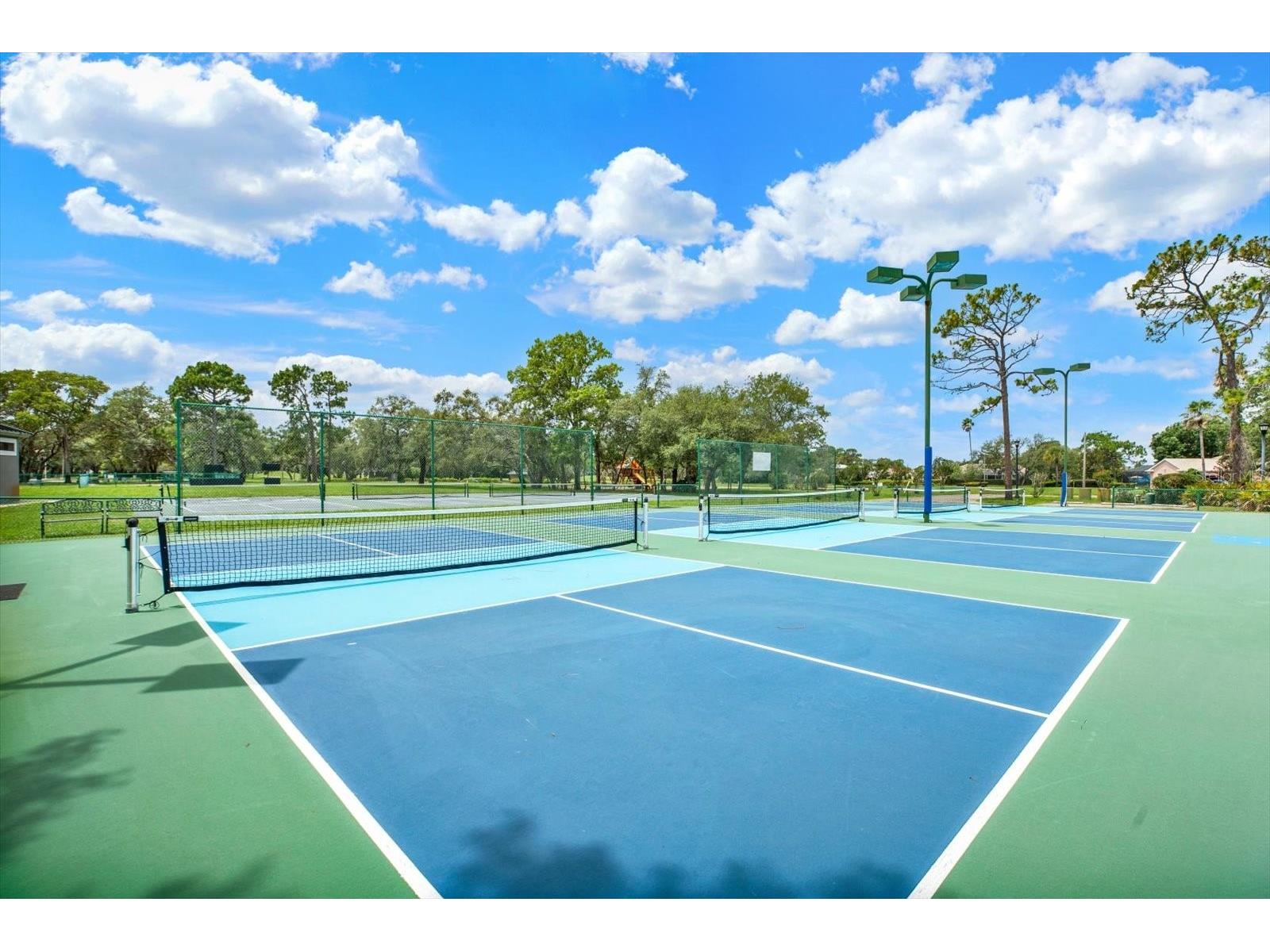 9234 Grand Cypress Drive Weeki Wachee FL 34613 TB8514510 image60
