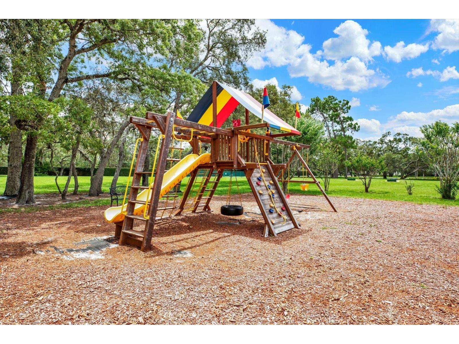 9234 Grand Cypress Drive Weeki Wachee FL 34613 TB8514510 image64