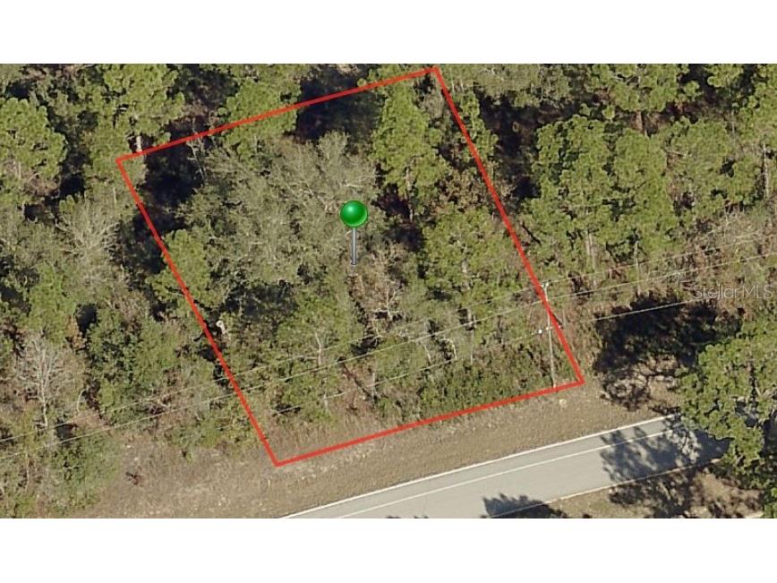 9234 N Citrus Springs Boulevard Citrus Springs FL 34433 A4539612 image1