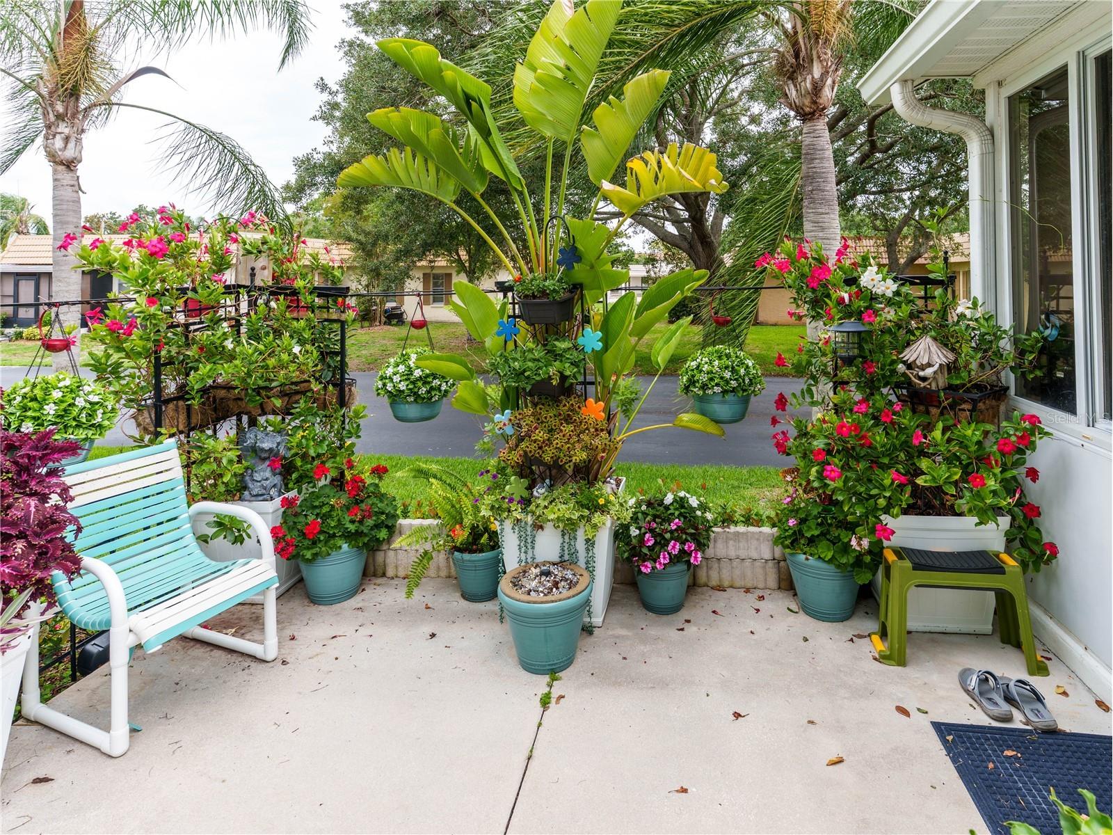 9234 Santa Monica Way New Port Richey FL 34655 O6414277 image3