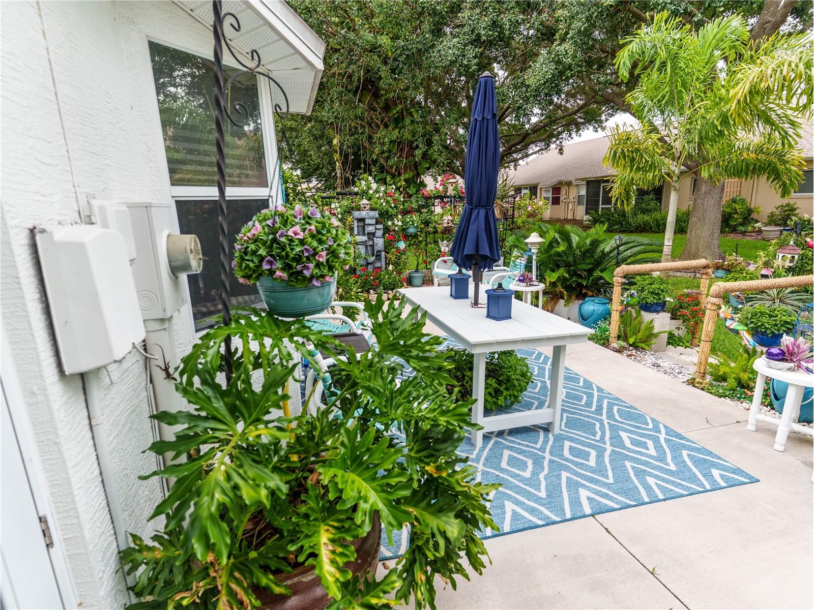 9234 Santa Monica Way New Port Richey FL 34655 O6414277 image36
