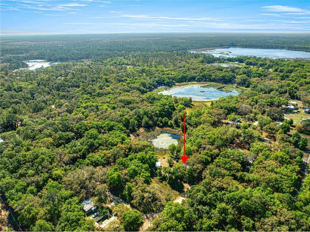 9235 SE 193rd Avenue Ocklawaha FL 32179 OM698395 image18