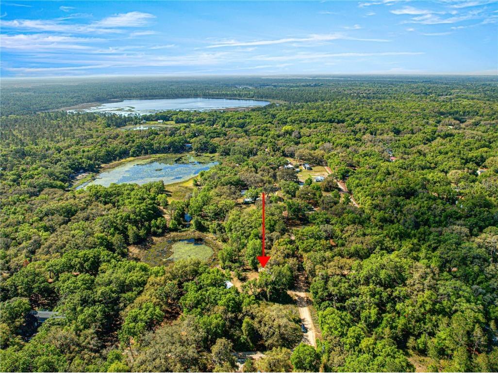 9235 SE 193rd Avenue Ocklawaha FL 32179 OM698395 image19