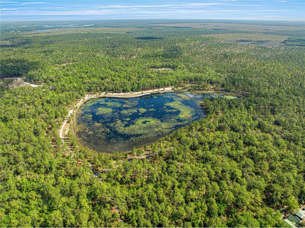 9235 SE 193rd Avenue Ocklawaha FL 32179 OM698395 image22