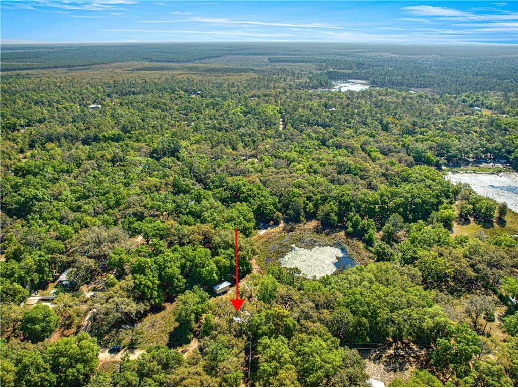 9235 SE 193rd Avenue Ocklawaha FL 32179 OM698395 image23