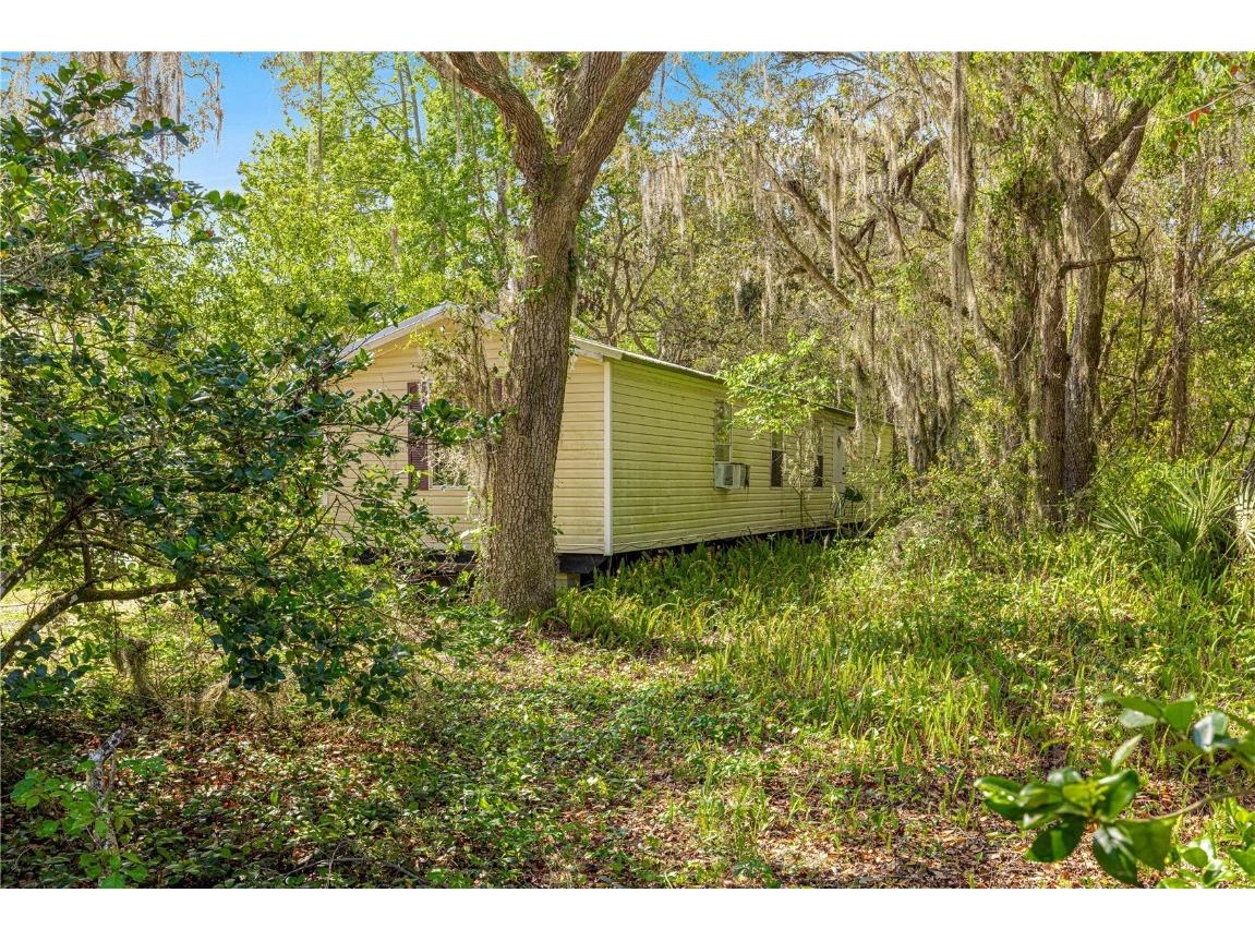 9235 SE 193rd Avenue Ocklawaha FL 32179 OM698395 image3