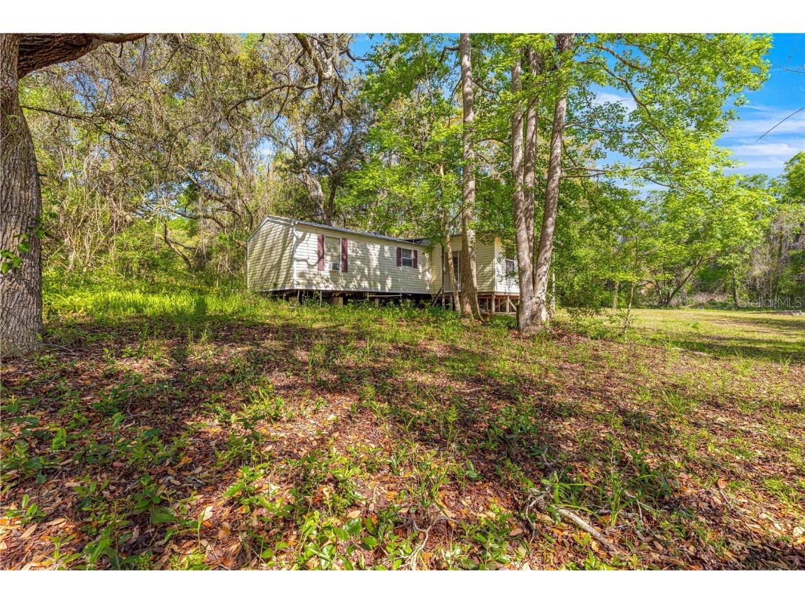 9235 SE 193rd Avenue Ocklawaha FL 32179 OM698395 image4
