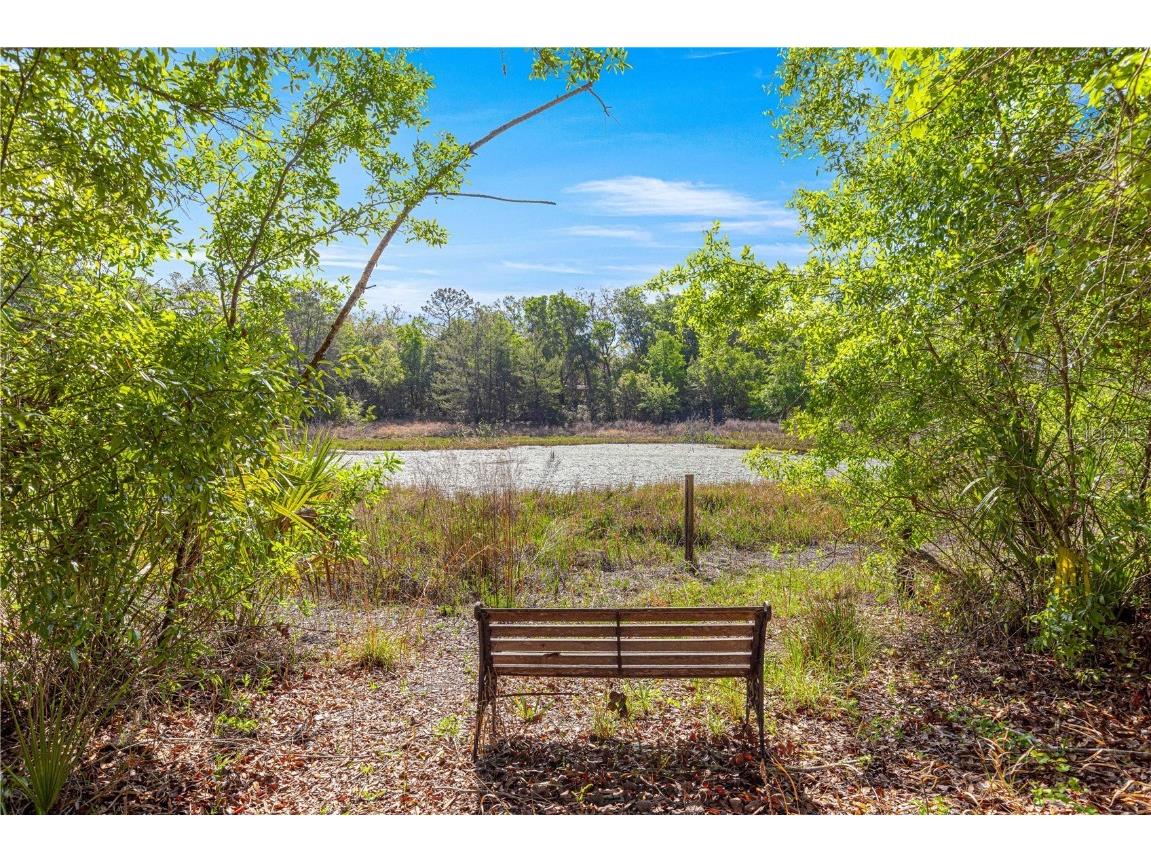 9235 SE 193rd Avenue Ocklawaha FL 32179 OM698395 image5