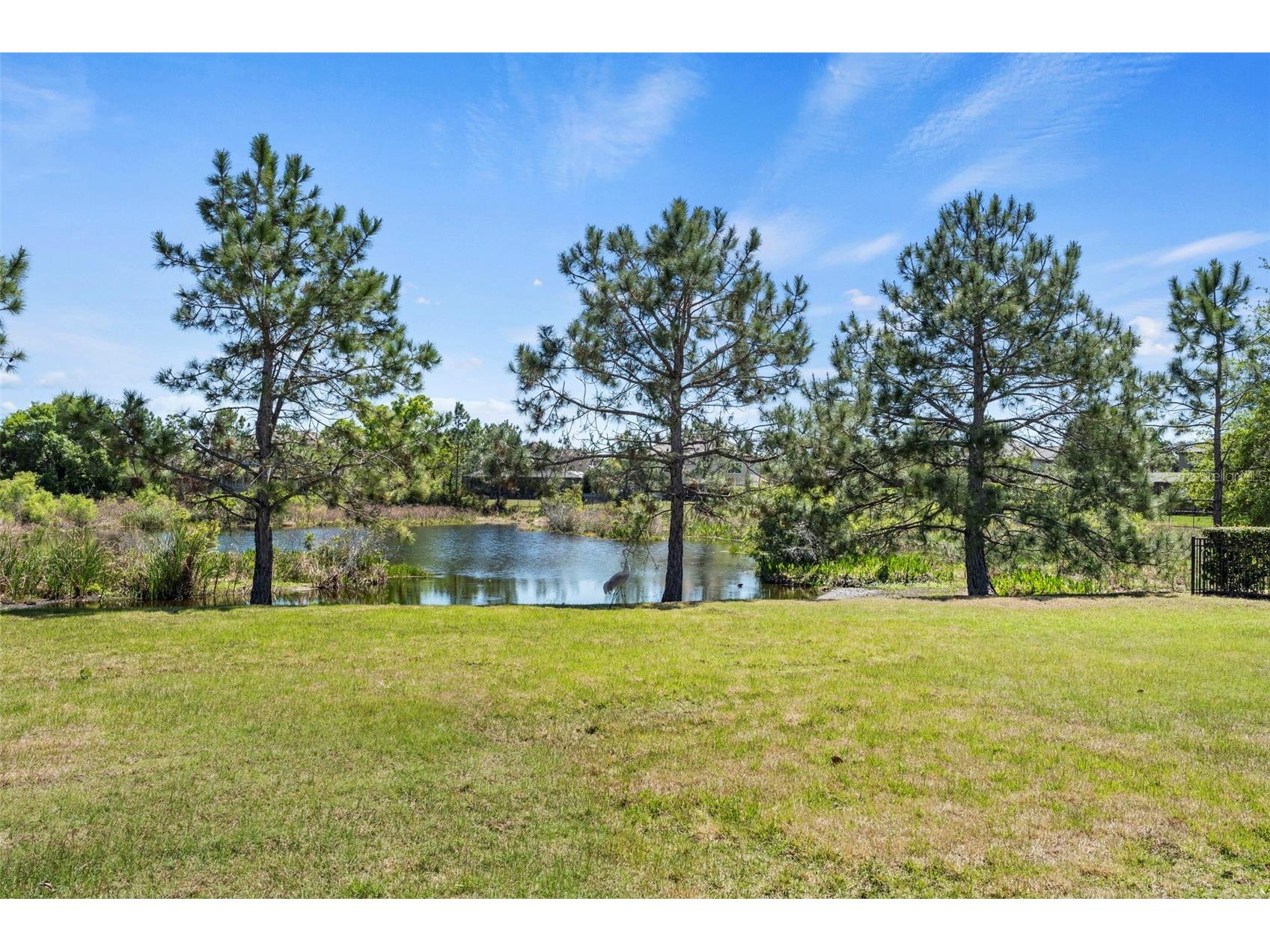 9235 Tillinghast Drive Tampa FL 33626 TB8483365 image49