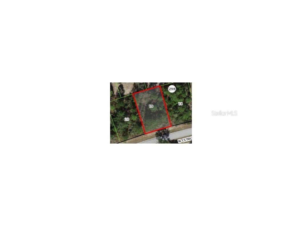 9236 N Citrus Springs Boulevard Citrus Springs FL 34433 A4679023 image1