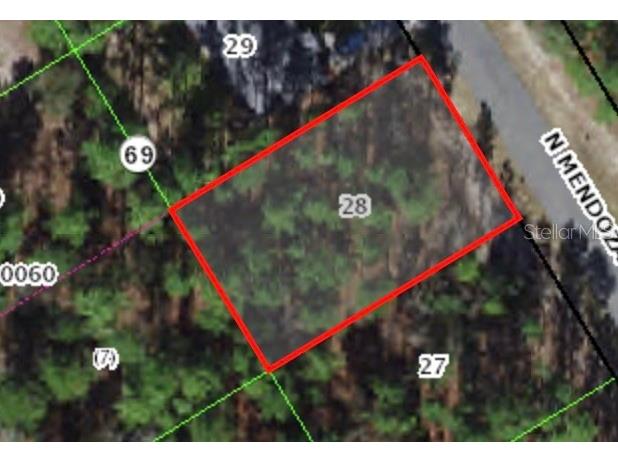 9236 N Mendoza Way Citrus Springs FL 34434 A4577457 image1