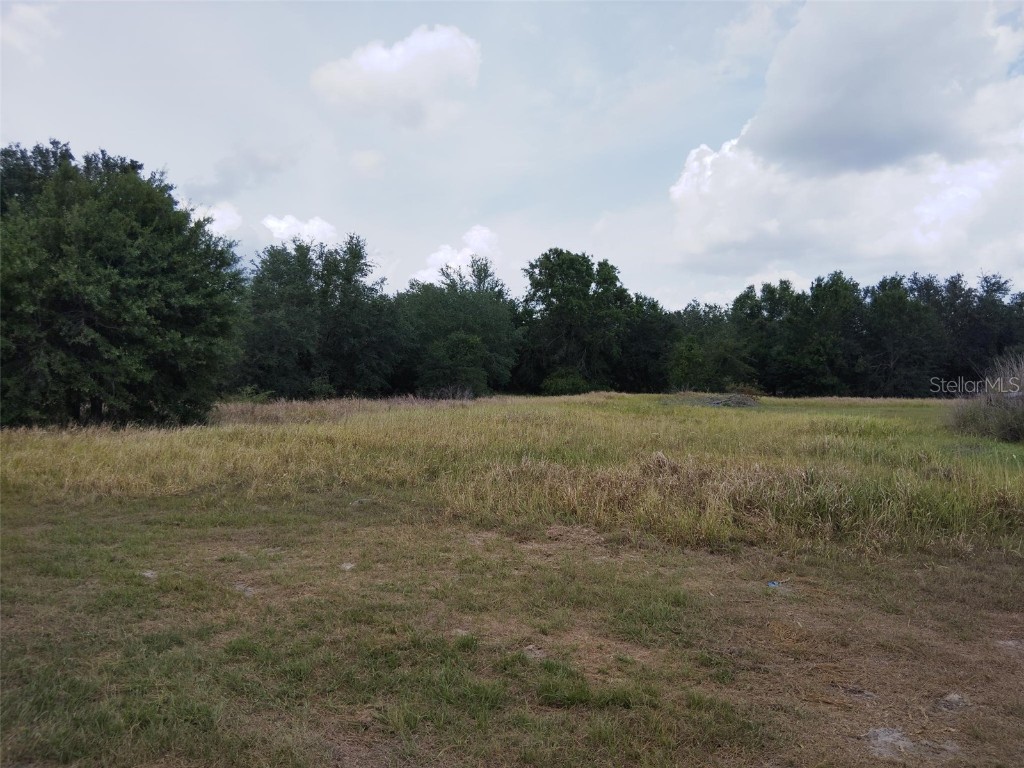 9236 Tolbert Stephens Road Ona FL 33865 A4652239 image1