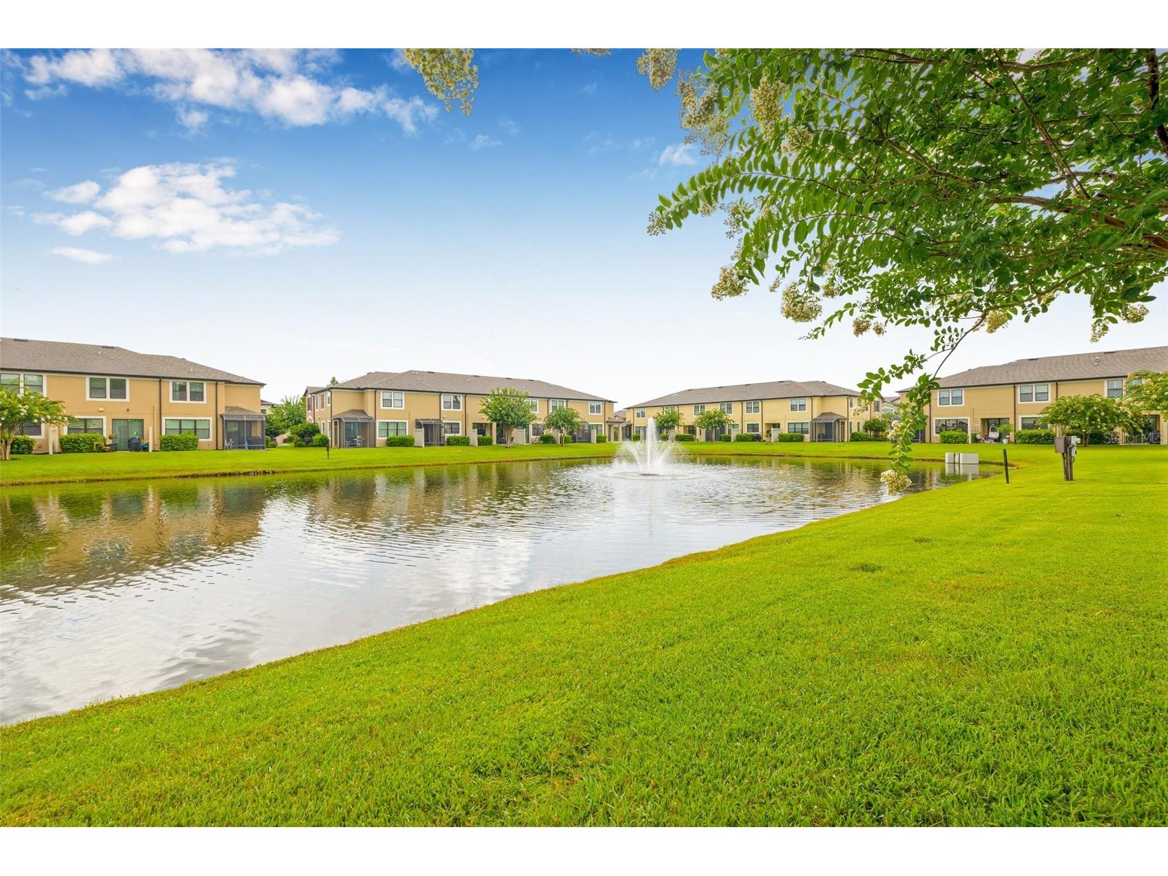 9237 Fox Sparrow Road Tampa FL 33626 TB8404457 image23