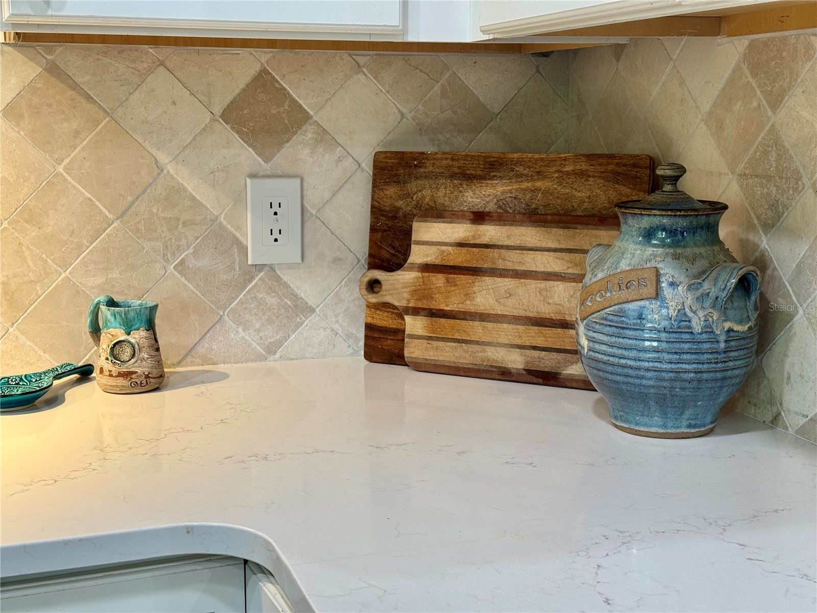 9237 Sabal Palm Circle Windermere FL 34786 G5110005 image17