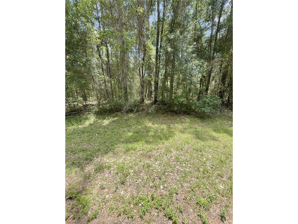 9238 N Athenia Drive Citrus Springs FL 34434 G5101006 image1