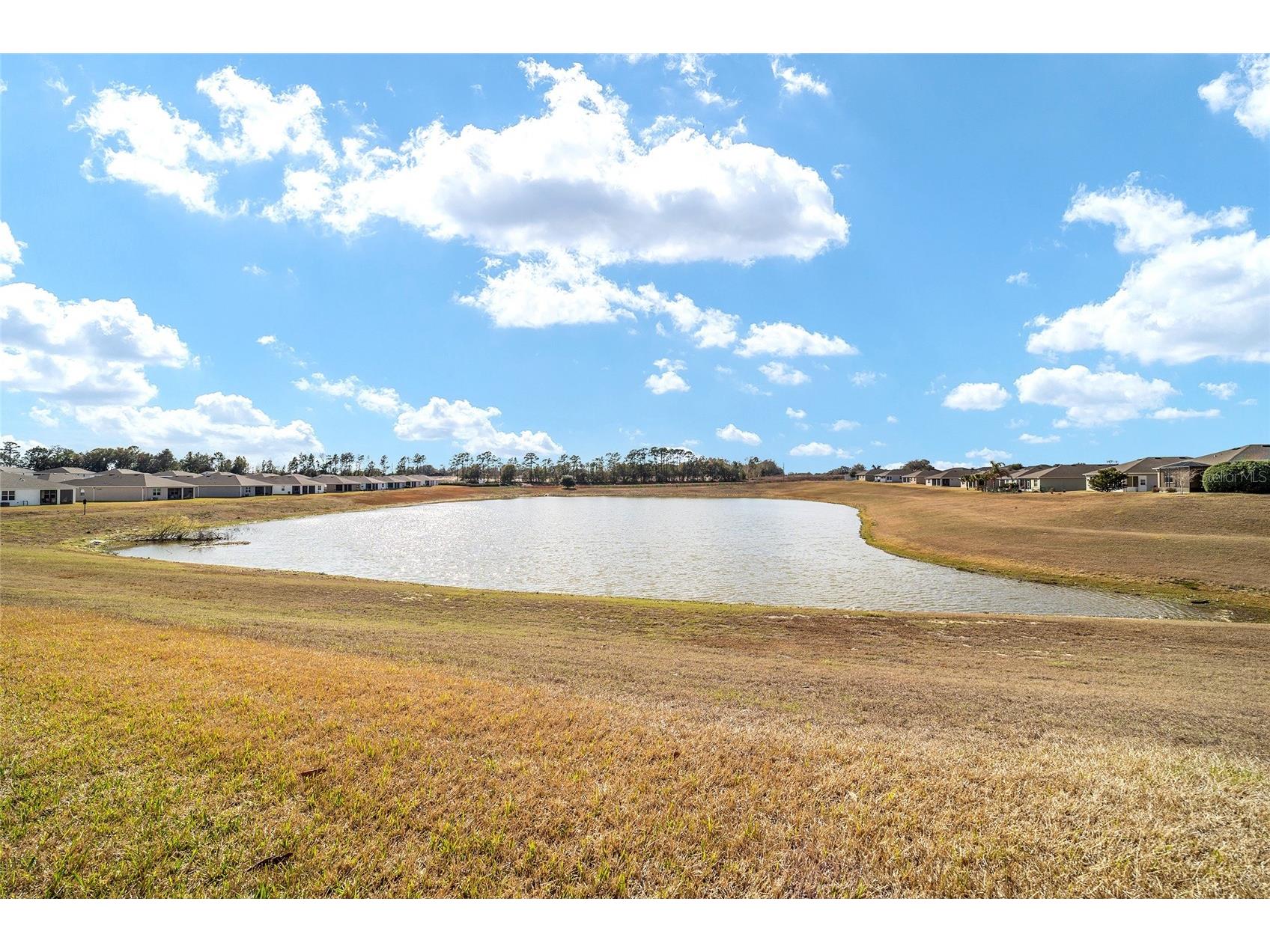 9238 SW 60th Terrace Road Ocala FL 34476 OM719675 image47