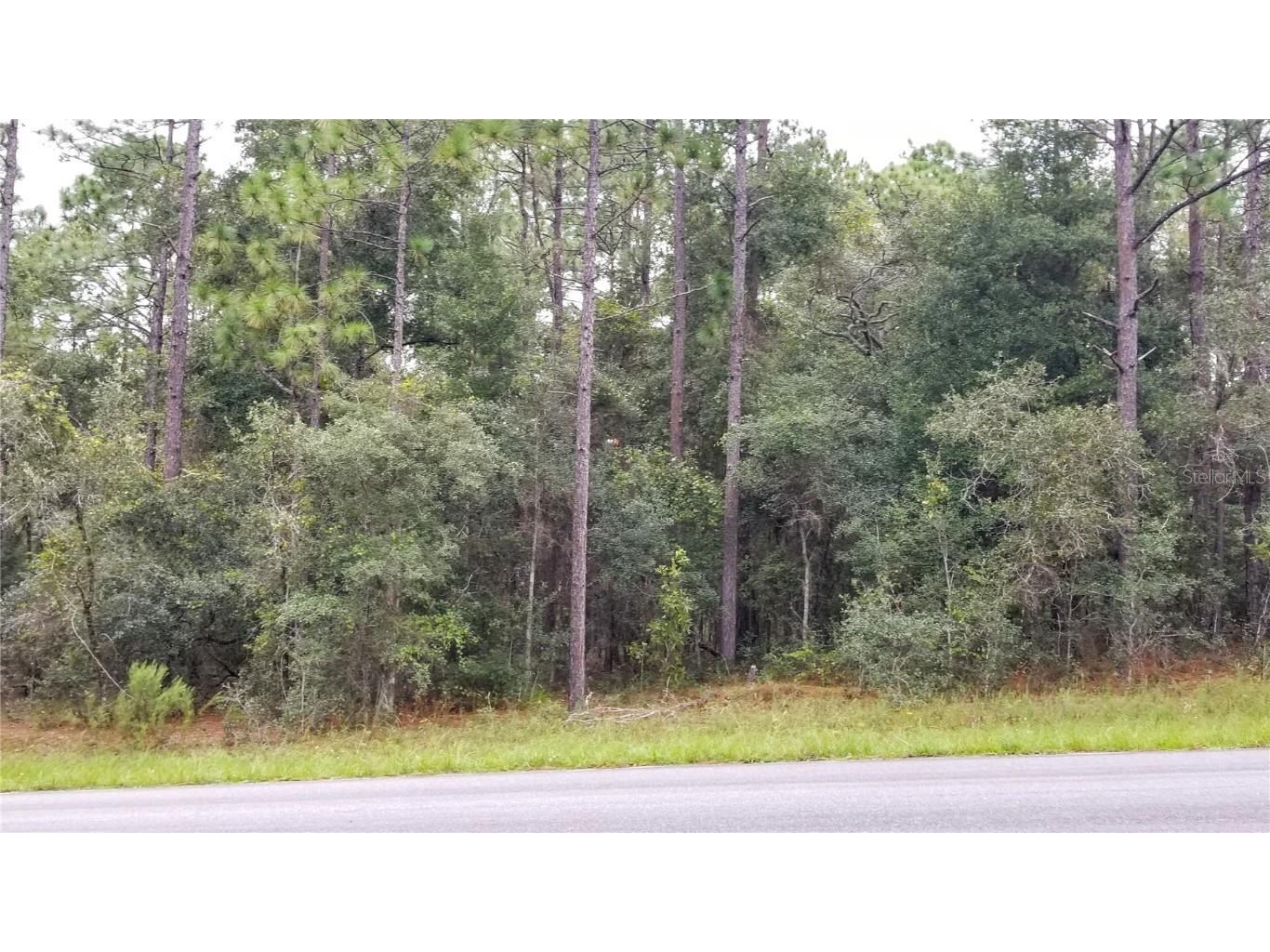 9239 N Irondale Road Citrus Springs FL 34434 OM701937 image1