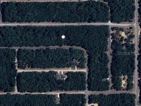 9239 N Patch Drive Dunnellon FL 34434 OM702710 image1