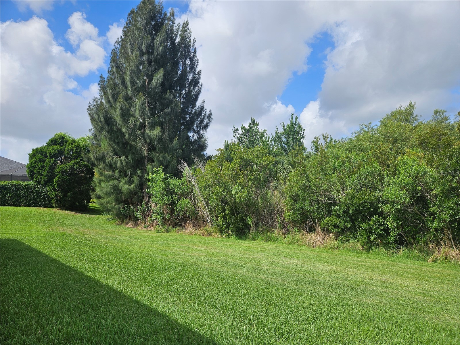 924 Buttercup Glen Bradenton FL 34212 A4696105 image32