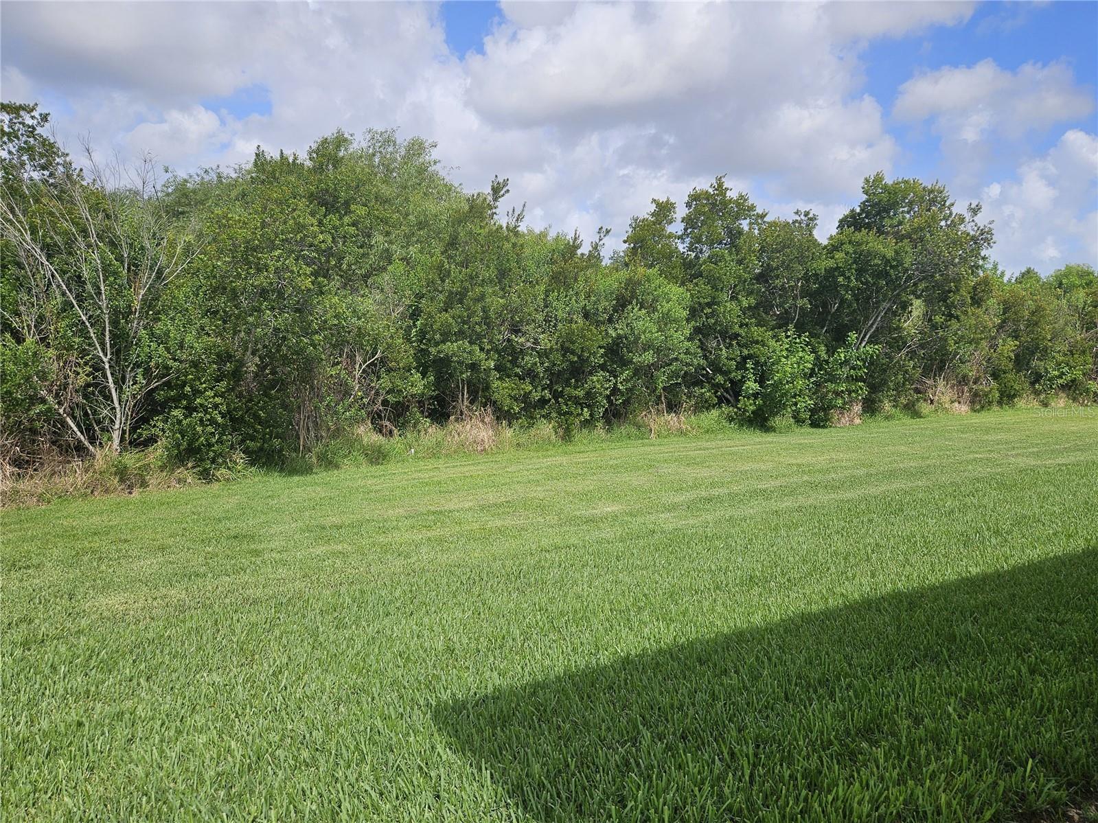 924 Buttercup Glen Bradenton FL 34212 A4696105 image33
