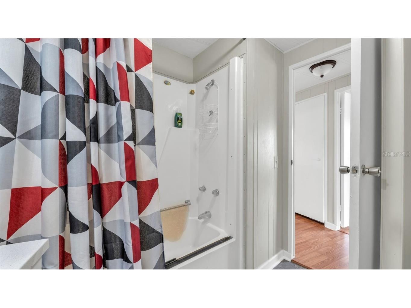 924 Elizabeth Lane Lakeland FL 33809 L4957593 image17