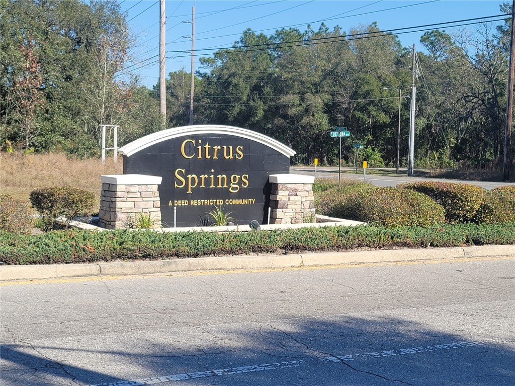 924 Glenhaven Dr Citrus Springs FL 34434 T3355313 image1