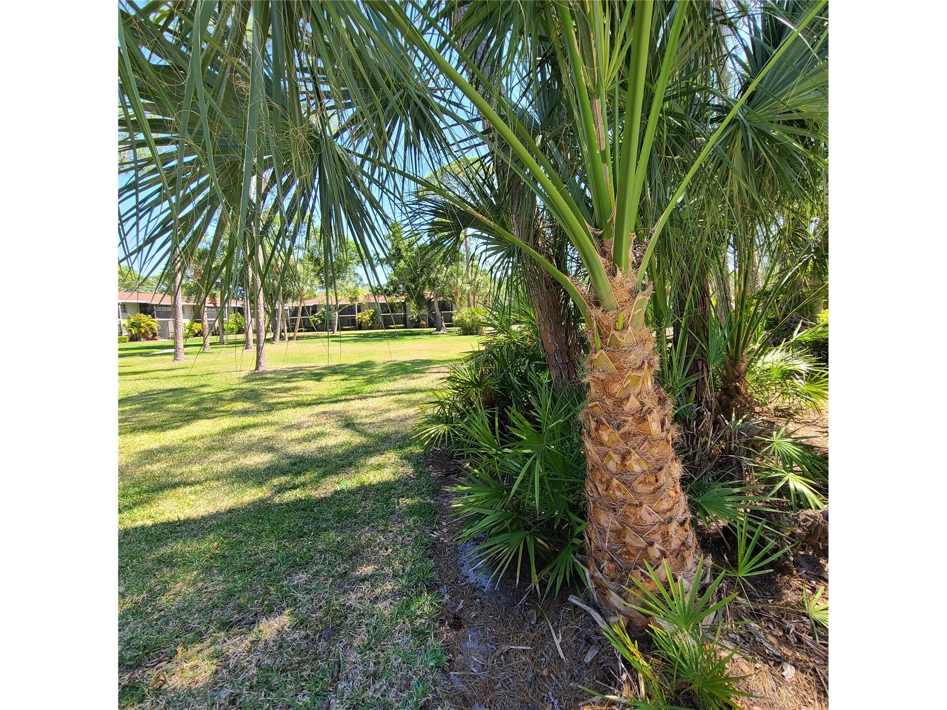 924 La Costa Circle #4 Sarasota FL 34237 A4690220 image19