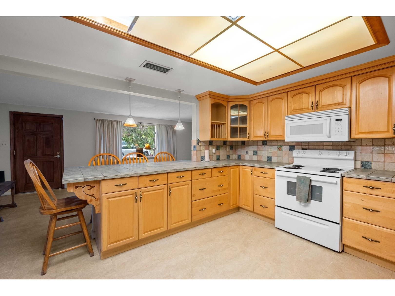 924 Valmar Street Brandon FL 33511 TB8498469 image10