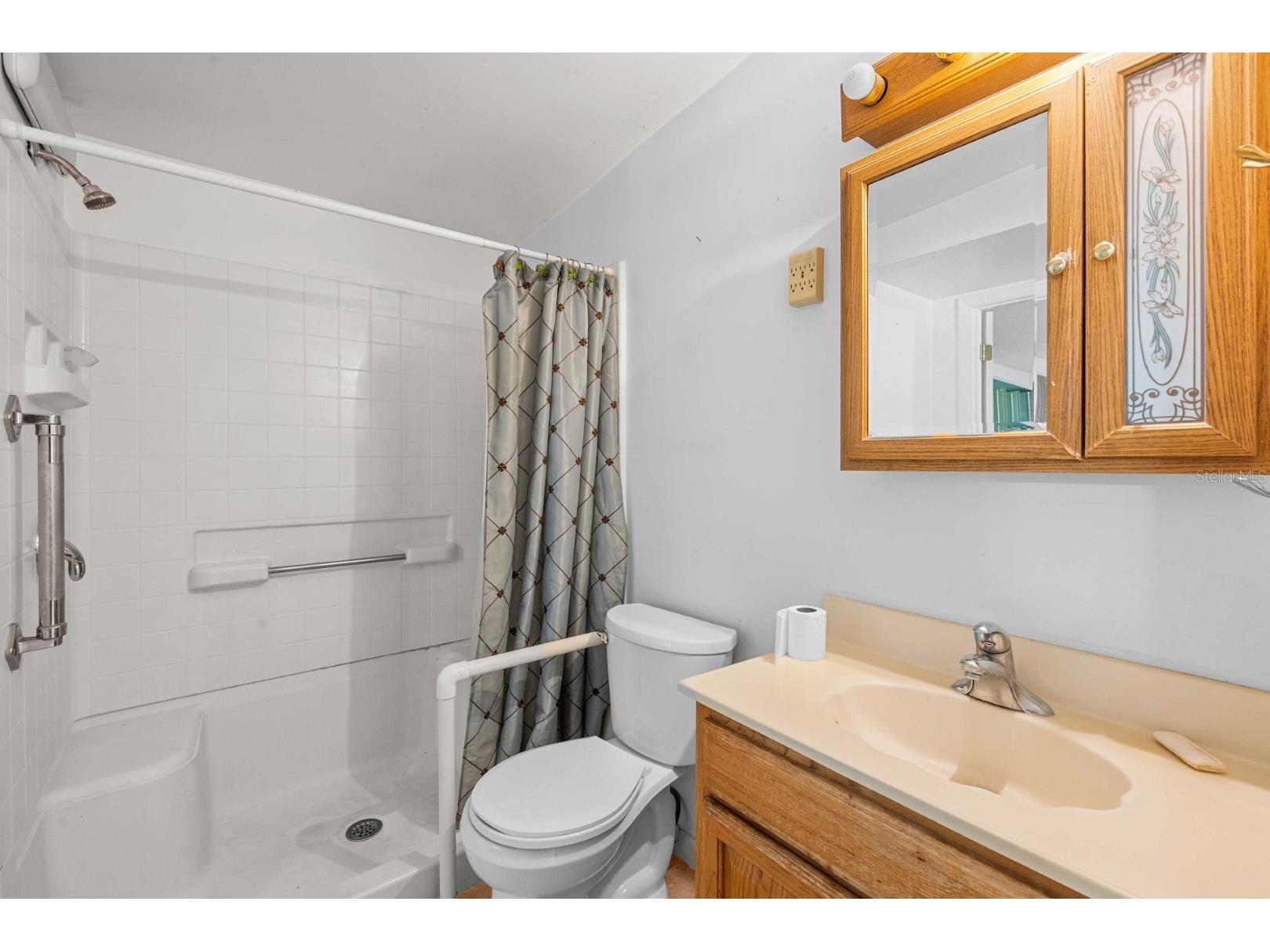 924 Valmar Street Brandon FL 33511 TB8498469 image15