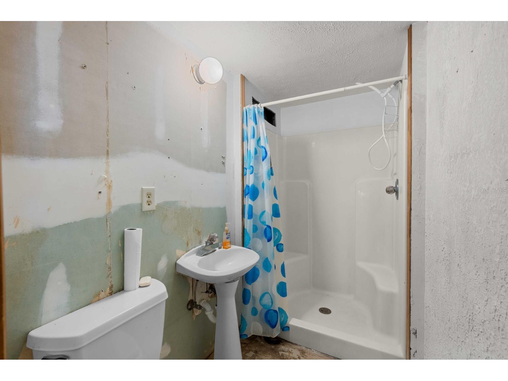 924 Valmar Street Brandon FL 33511 TB8498469 image17