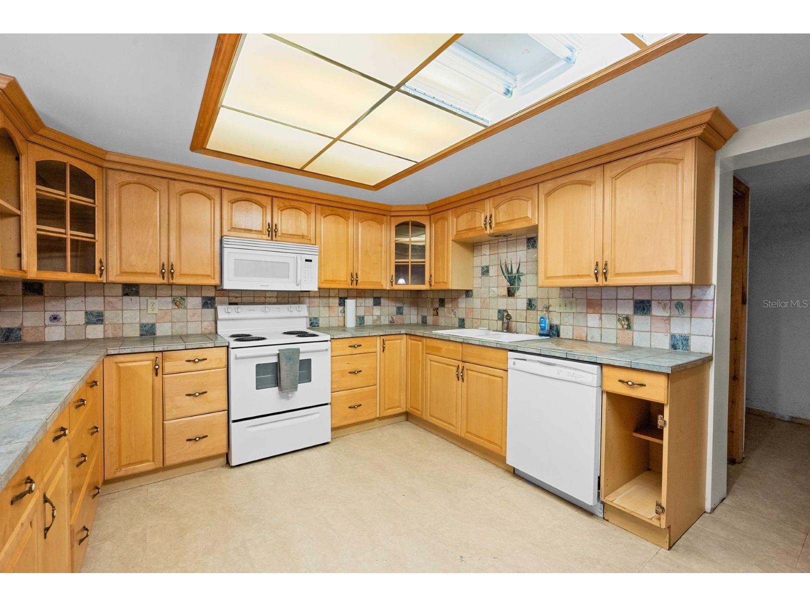 924 Valmar Street Brandon FL 33511 TB8498469 image9