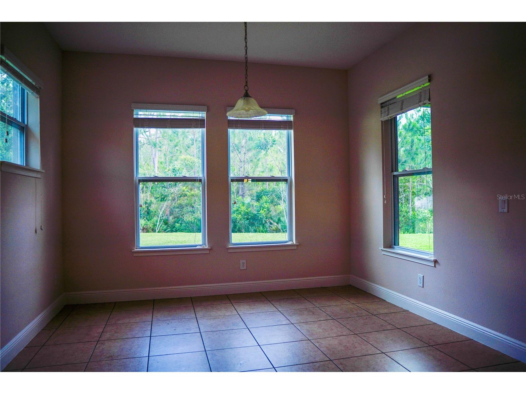 9240 Bradleigh Drive Winter Garden FL 34787 O6421967 image33