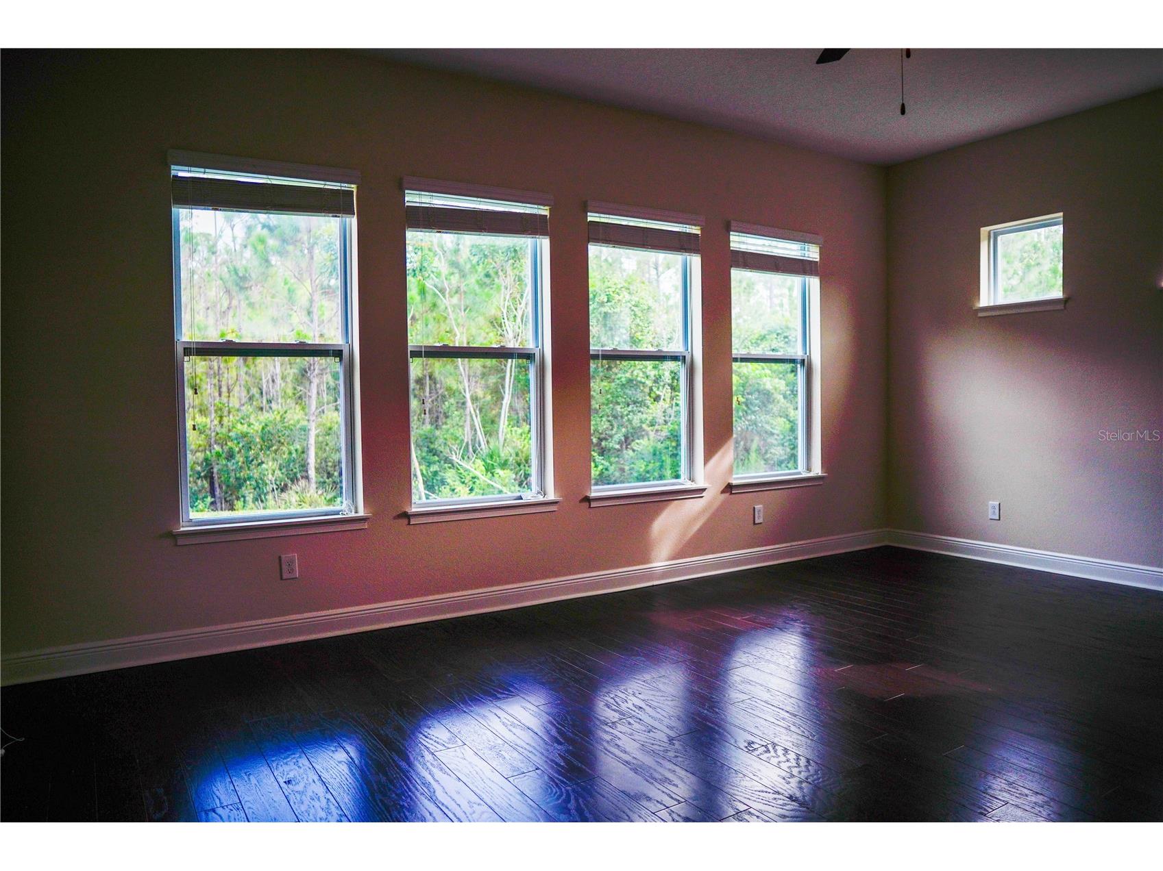 9240 Bradleigh Drive Winter Garden FL 34787 O6421967 image35