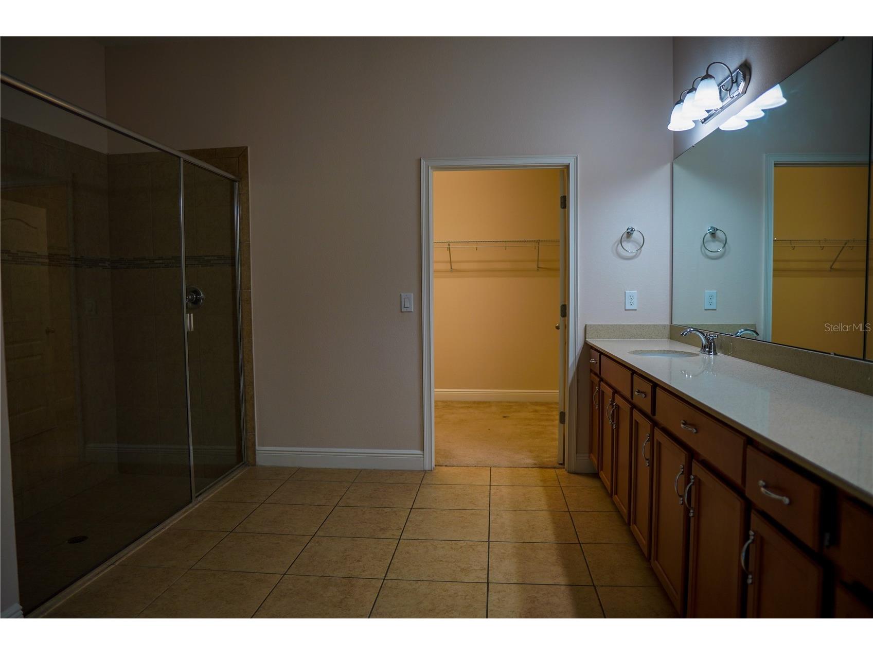 9240 Bradleigh Drive Winter Garden FL 34787 O6421967 image38