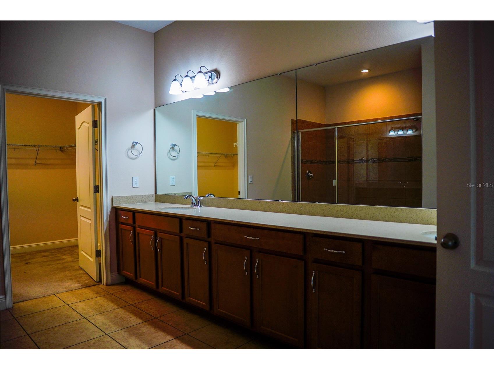 9240 Bradleigh Drive Winter Garden FL 34787 O6421967 image40