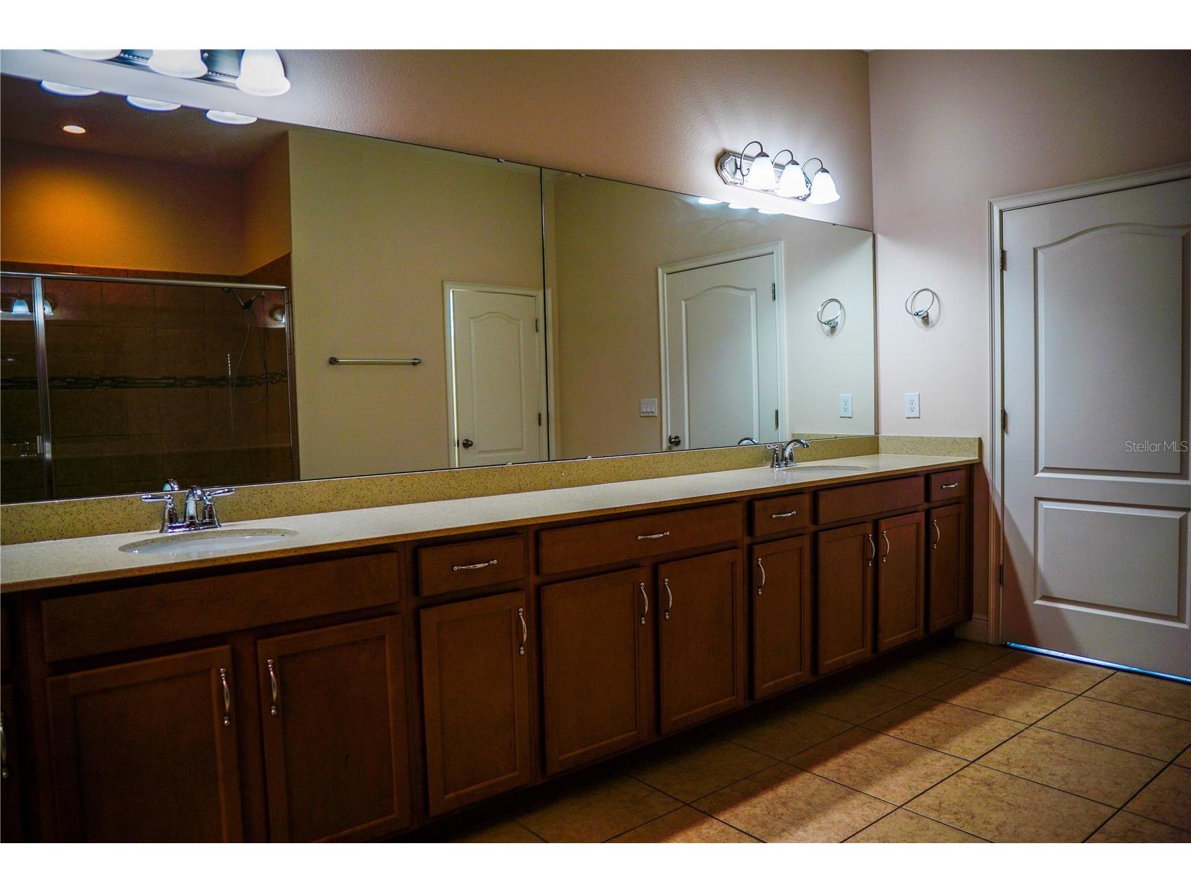 9240 Bradleigh Drive Winter Garden FL 34787 O6421967 image41