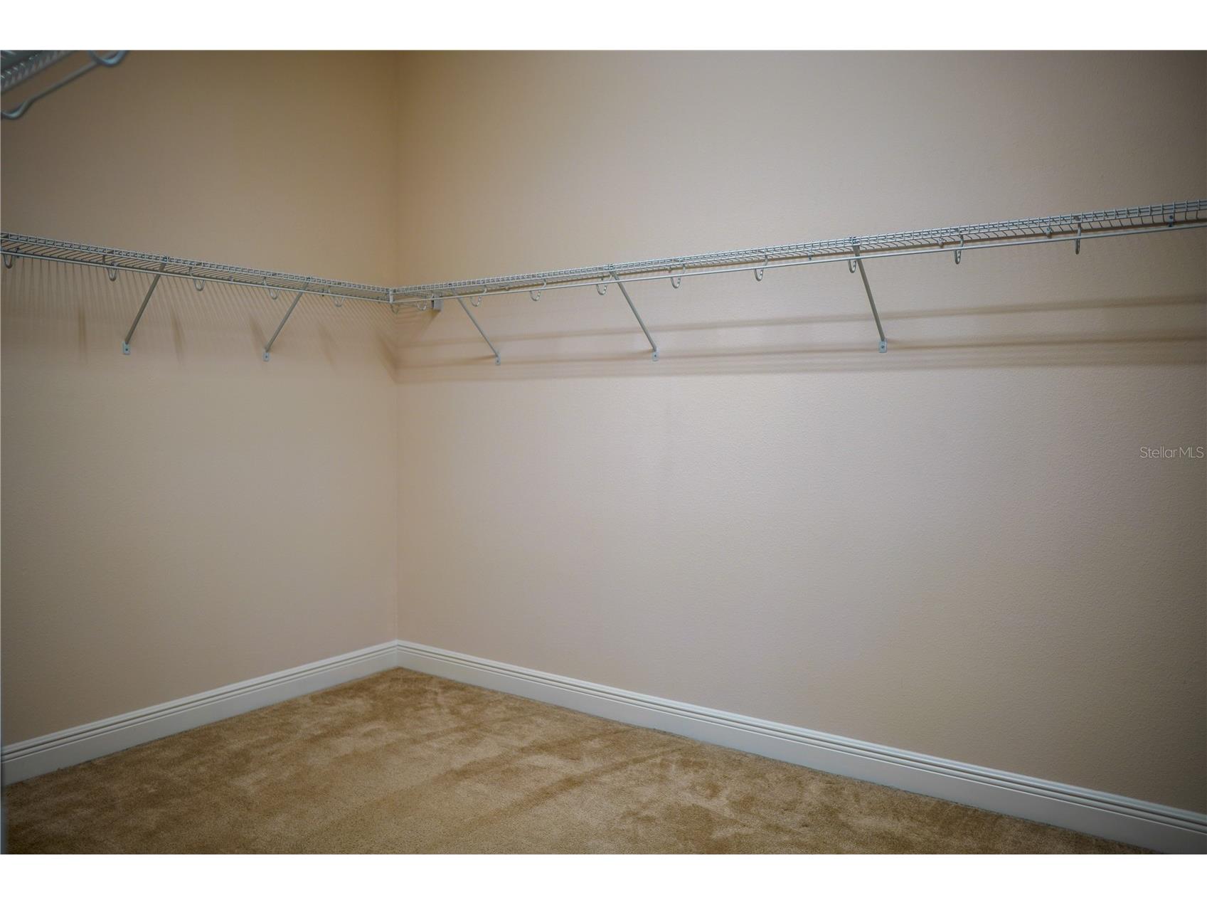 9240 Bradleigh Drive Winter Garden FL 34787 O6421967 image42