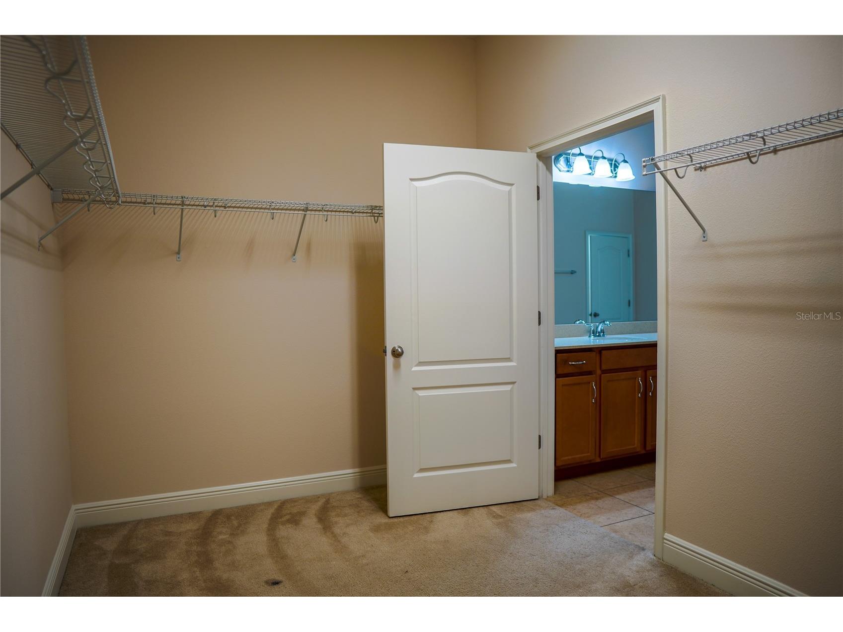9240 Bradleigh Drive Winter Garden FL 34787 O6421967 image43