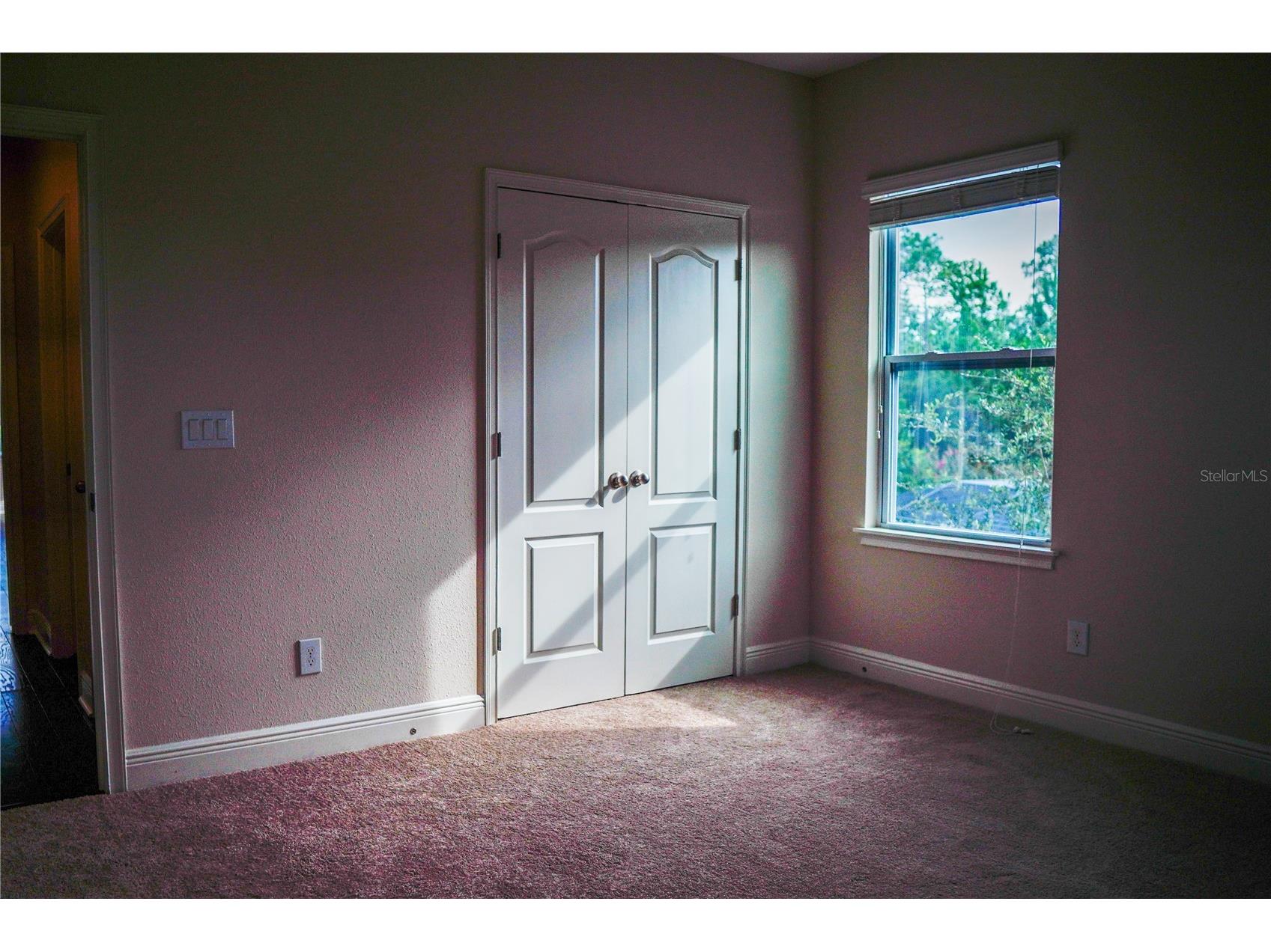 9240 Bradleigh Drive Winter Garden FL 34787 O6421967 image46