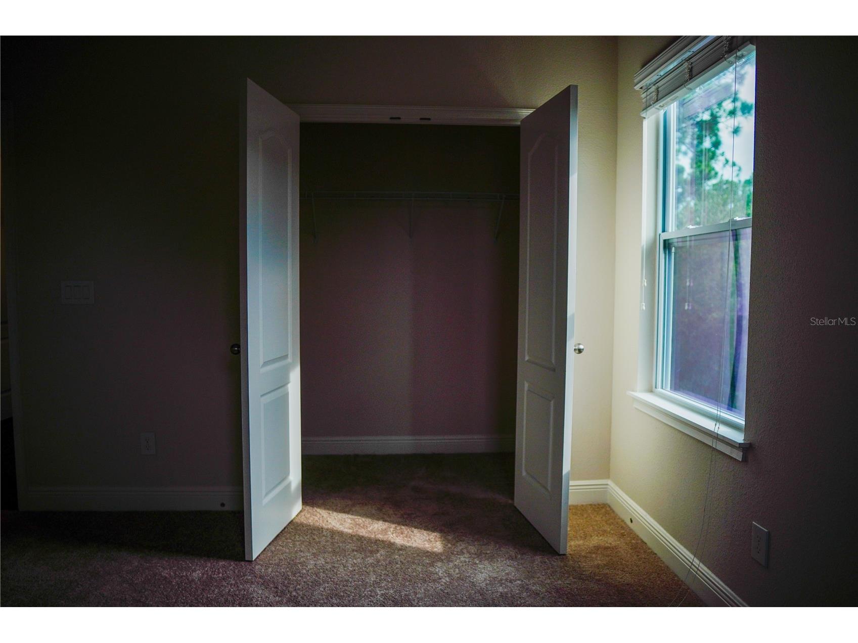 9240 Bradleigh Drive Winter Garden FL 34787 O6421967 image48