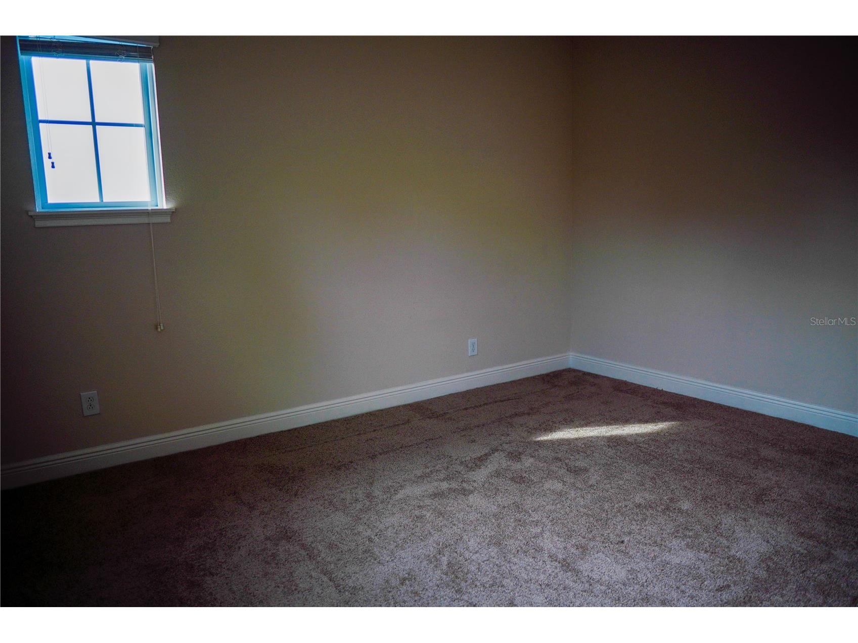 9240 Bradleigh Drive Winter Garden FL 34787 O6421967 image49