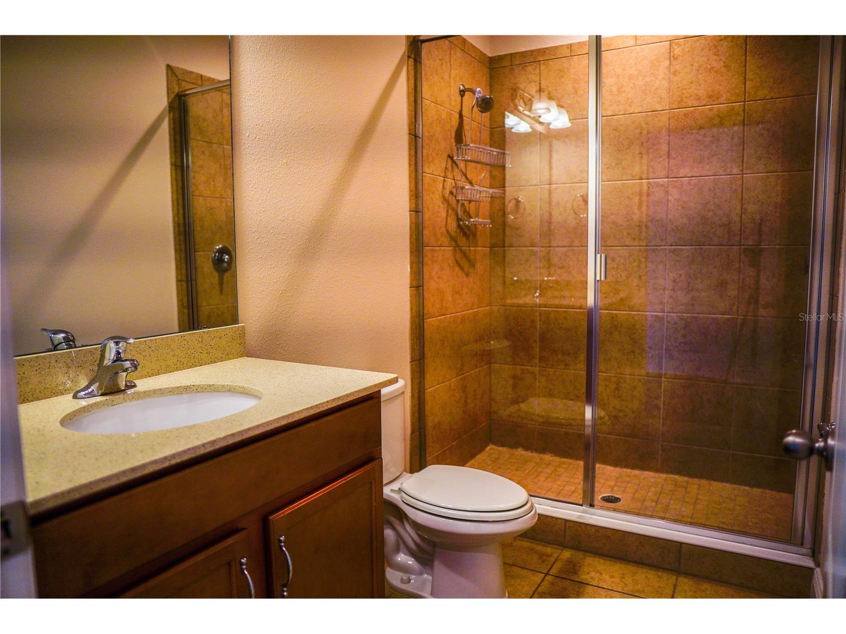 9240 Bradleigh Drive Winter Garden FL 34787 O6421967 image50
