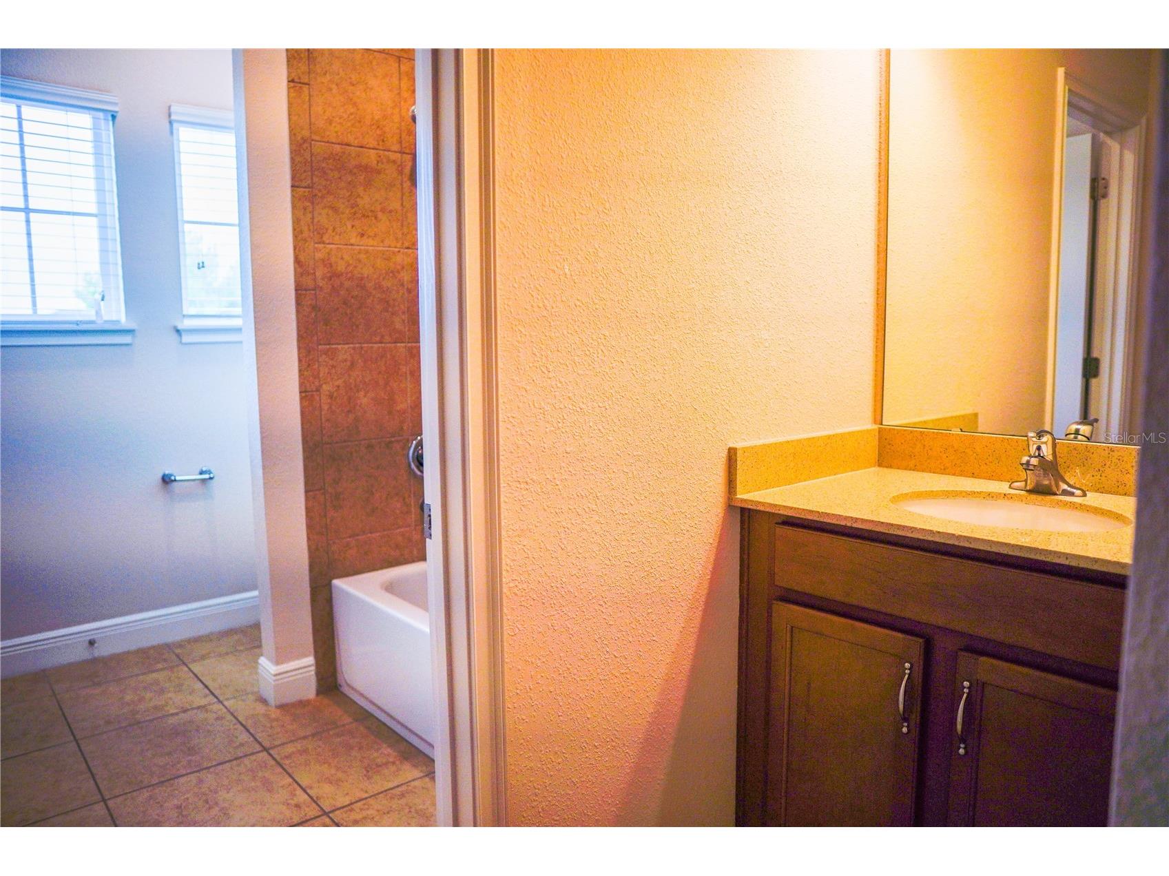 9240 Bradleigh Drive Winter Garden FL 34787 O6421967 image61
