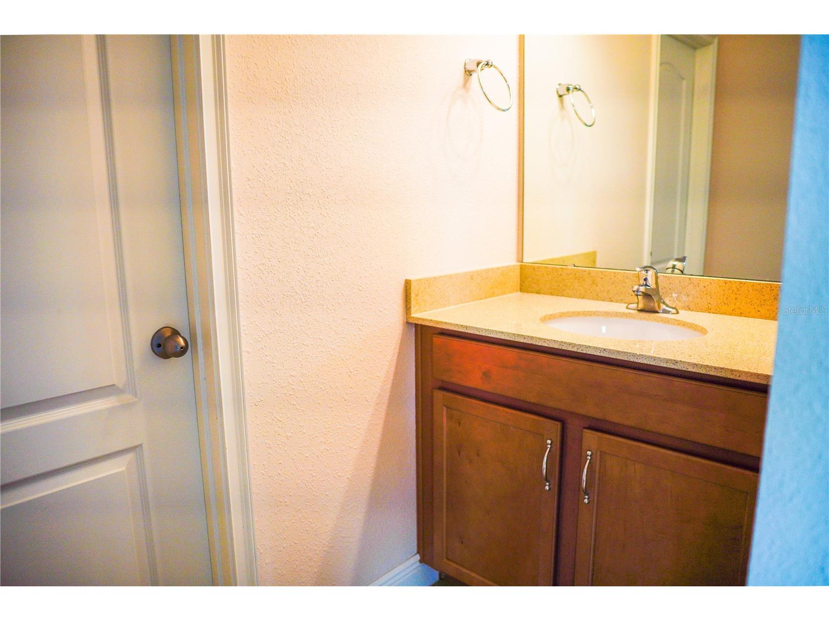 9240 Bradleigh Drive Winter Garden FL 34787 O6421967 image62