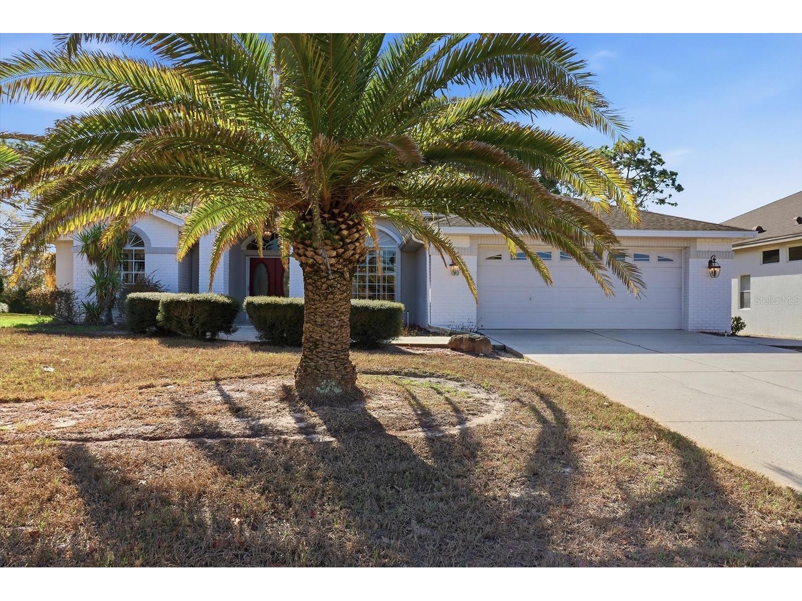 9240 Butler Boulevard Weeki Wachee FL 34613 W7883615 image3