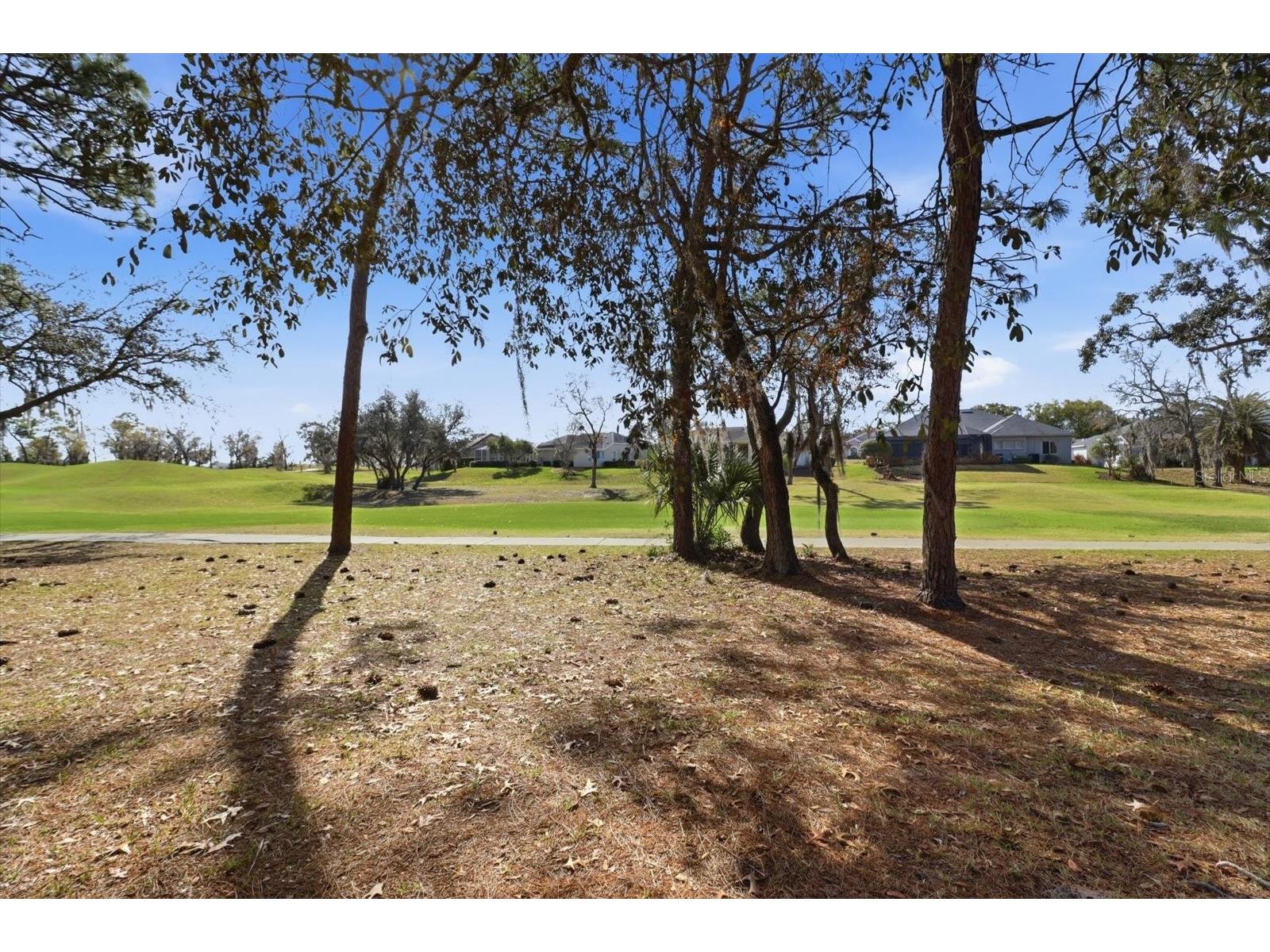9240 Butler Boulevard Weeki Wachee FL 34613 W7883615 image43
