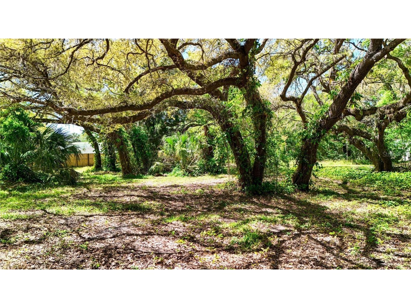 9240 Creston Avenue New Port Richey FL 34654 W7873730 image10