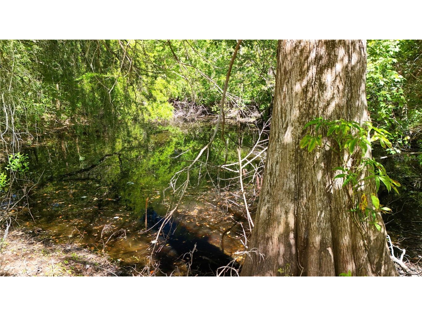 9240 Creston Avenue New Port Richey FL 34654 W7873730 image11